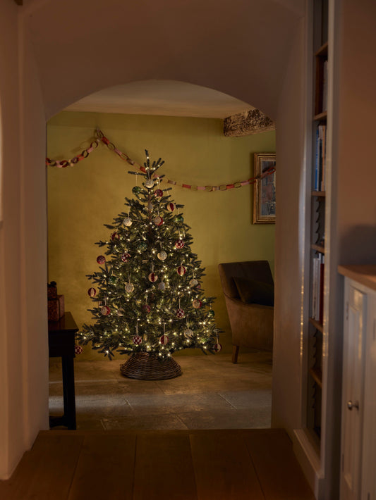 How to choose the perfect Christmas tree