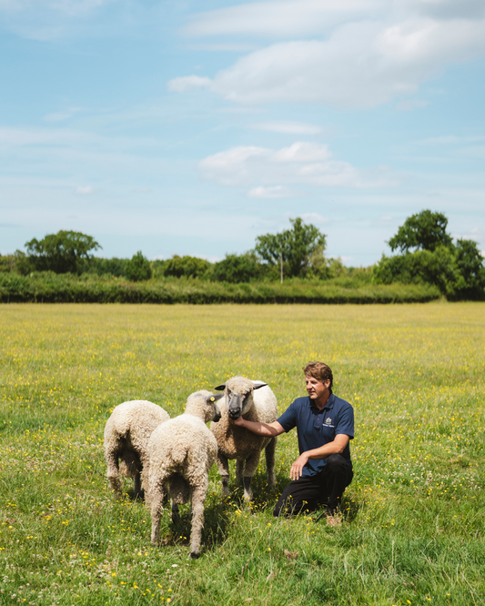 Meet the maker: Harrison Spinks 